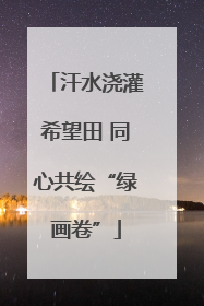 汗水浇灌希望田 同心共绘“绿画卷”