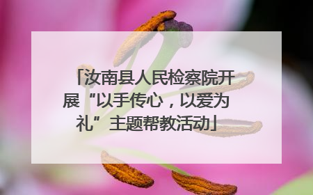 汝南县人民检察院开展“以手传心，以爱为礼”主题帮教活动