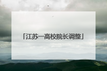 江苏一高校院长调整