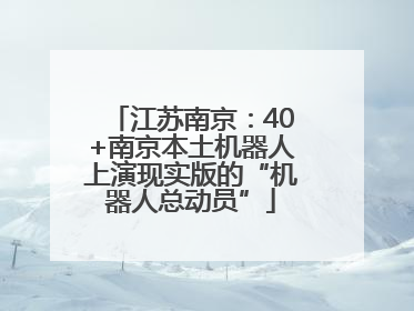 江苏南京：40+南京本土机器人上演现实版的“机器人总动员”