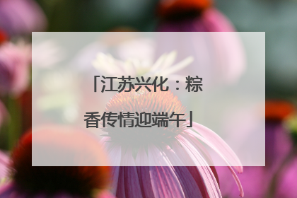 江苏兴化：粽香传情迎端午