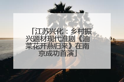 江苏兴化：乡村振兴题材现代淮剧《油菜花开燕归来》在南京成功首演