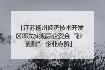 江苏扬州经济技术开发区率先实现惠企资金“秒到账” 企业点赞