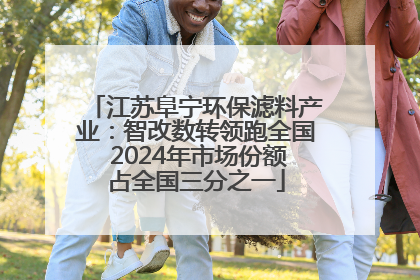 江苏阜宁环保滤料产业：智改数转领跑全国 2024年市场份额占全国三分之一