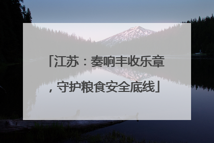 江苏：奏响丰收乐章，守护粮食安全底线