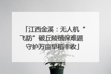 江西金溪：无人机“飞防”破丘陵植保难题 守护万亩早稻丰收