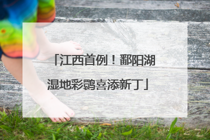 江西首例！鄱阳湖湿地彩鹮喜添新丁