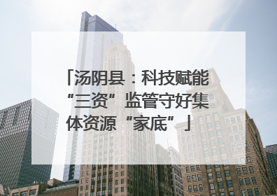 汤阴县：科技赋能“三资”监管守好集体资源“家底”