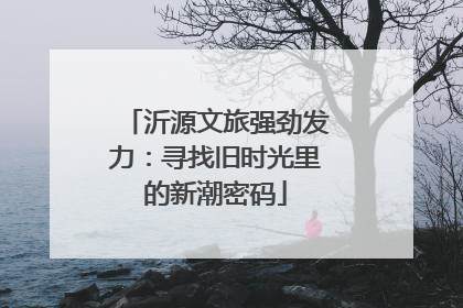 沂源文旅强劲发力：寻找旧时光里的新潮密码
