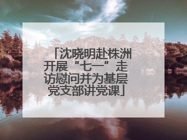 沈晓明赴株洲开展“七一”走访慰问并为基层党支部讲党课
