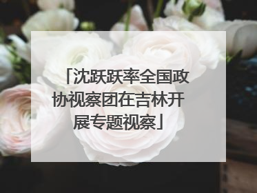 沈跃跃率全国政协视察团在吉林开展专题视察