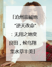沧州盐碱地“逆天改命”：无用之地变良田，候鸟翔集水草丰美