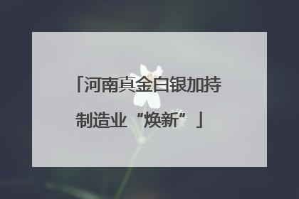 河南真金白银加持制造业“焕新”