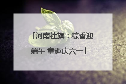 河南社旗：粽香迎端午 童趣庆六一