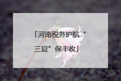 河南税务护航“三夏”保丰收