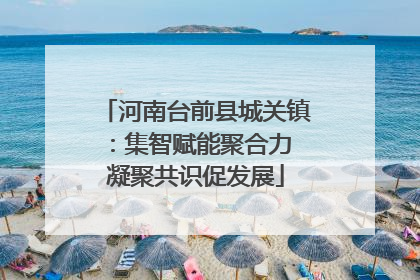 河南台前县城关镇：集智赋能聚合力 凝聚共识促发展