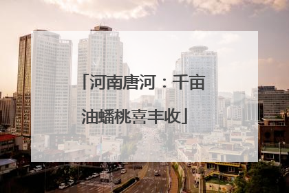 河南唐河：千亩油蟠桃喜丰收