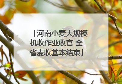 河南小麦大规模机收作业收官 全省麦收基本结束