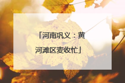 河南巩义：黄河滩区麦收忙