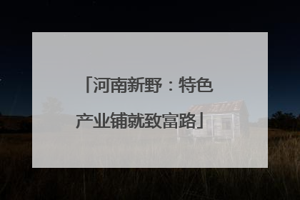 河南新野：特色产业铺就致富路