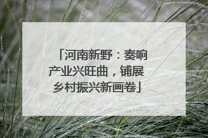 河南新野：奏响产业兴旺曲，铺展乡村振兴新画卷
