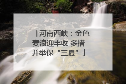 河南西峡：金色麦浪迎丰收 多措并举保“三夏”