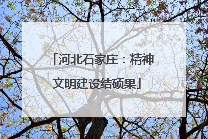 河北石家庄：精神文明建设结硕果