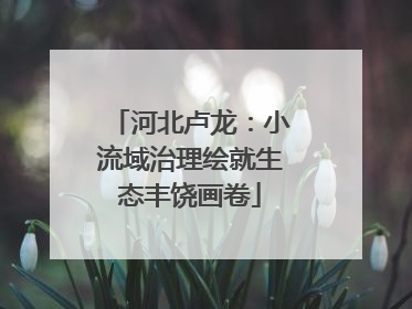 河北卢龙：小流域治理绘就生态丰饶画卷