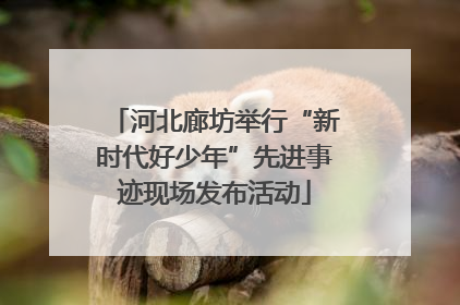 河北廊坊举行“新时代好少年”先进事迹现场发布活动