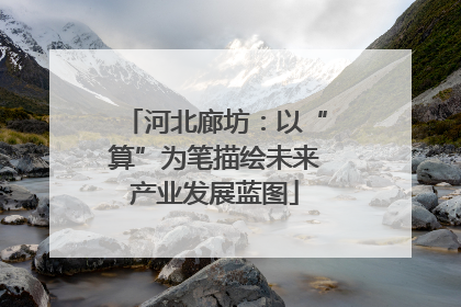河北廊坊：以“算”为笔描绘未来产业发展蓝图