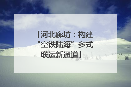 河北廊坊：构建“空铁陆海”多式联运新通道