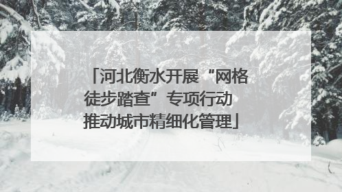 河北衡水开展“网格徒步踏查”专项行动 推动城市精细化管理