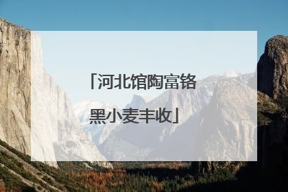 河北馆陶富铬黑小麦丰收