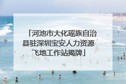 河池市大化瑶族自治县驻深圳宝安人力资源飞地工作站揭牌