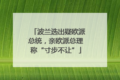 波兰选出疑欧派总统，亲欧派总理称“寸步不让”