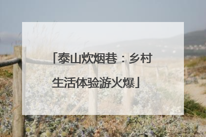 泰山炊烟巷：乡村生活体验游火爆