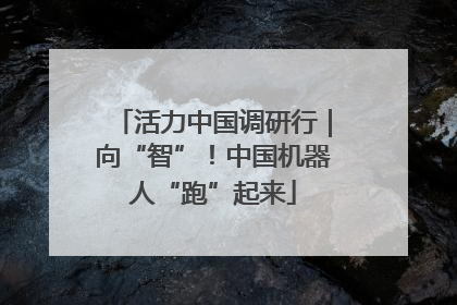 活力中国调研行｜向“智”！中国机器人“跑”起来