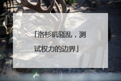 洛杉矶骚乱，测试权力的边界