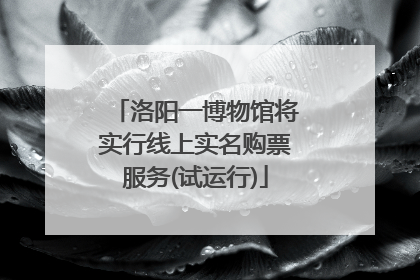 洛阳一博物馆将实行线上实名购票服务(试运行)