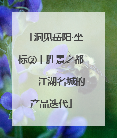 洞见岳阳·坐标②丨胜景之都——江湖名城的产品迭代