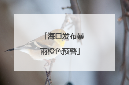 海口发布暴雨橙色预警