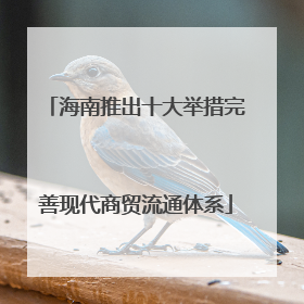 海南推出十大举措完善现代商贸流通体系