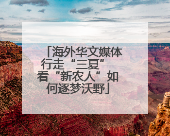 海外华文媒体行走“三夏” 看“新农人”如何逐梦沃野