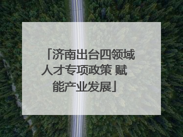 济南出台四领域人才专项政策 赋能产业发展