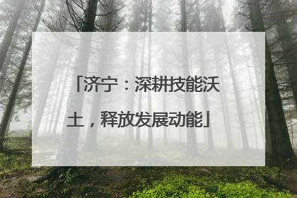济宁：深耕技能沃土，释放发展动能