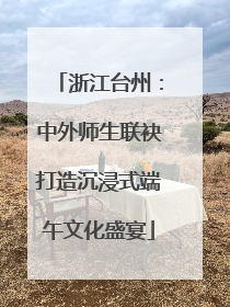 浙江台州：中外师生联袂打造沉浸式端午文化盛宴