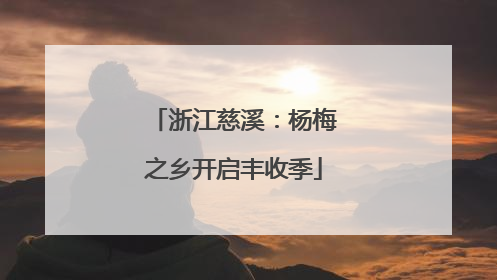 浙江慈溪：杨梅之乡开启丰收季