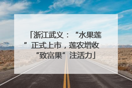 浙江武义：“水果莲”正式上市，莲农增收“致富果”注活力