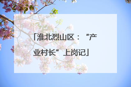 淮北烈山区：“产业村长”上岗记