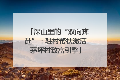 深山里的“双向奔赴”：驻村帮扶激活茅坪村致富引擎